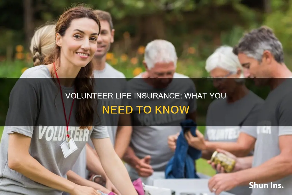 what is volunter life insurance