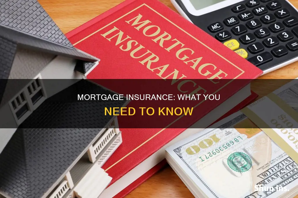 what is vovernment mortgage insurance