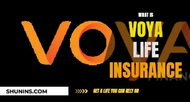 Unraveling Voya Life Insurance: A Comprehensive Guide