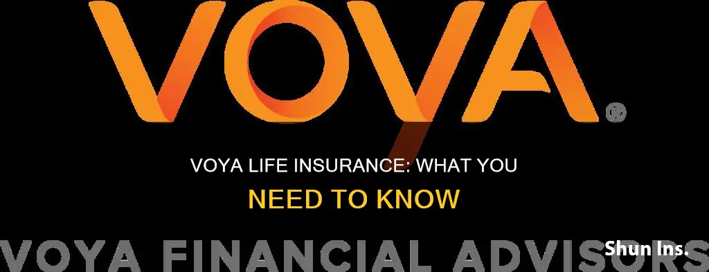 what is voya life insurance