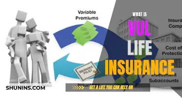 Vul Life Insurance: What Is It and How Does It Work?