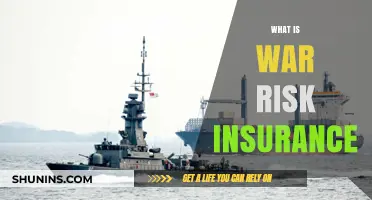 War Risk Insurance: Protecting Your Business from Conflict