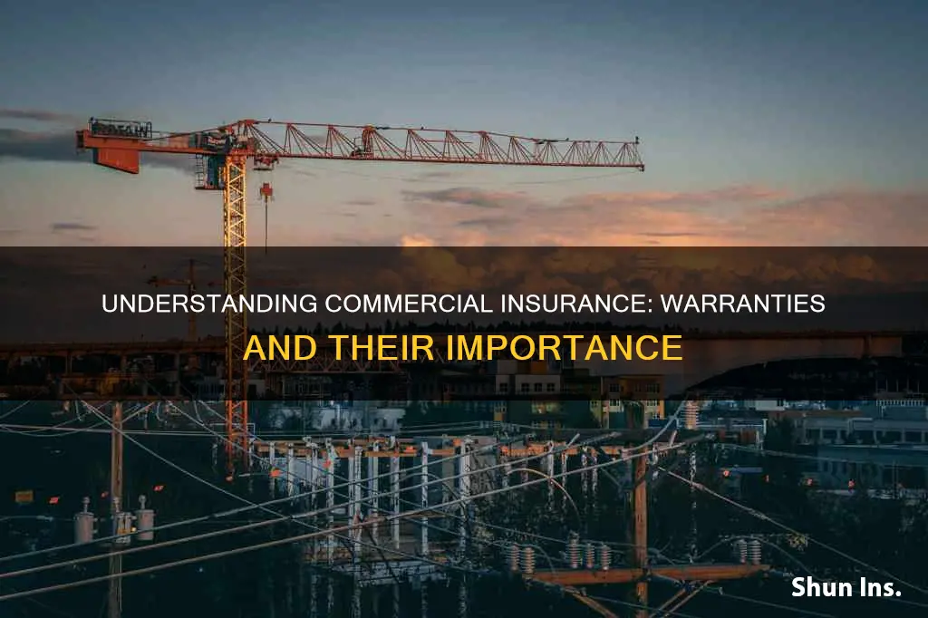 what is warranty in commercial insurance