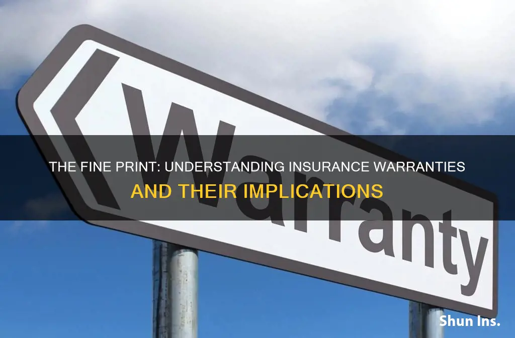 what is warranty in insurance terms