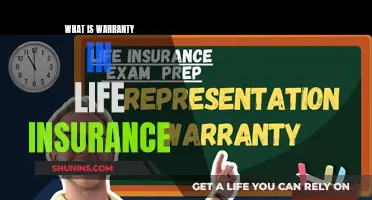 Understanding Life Insurance Warranties: A Comprehensive Guide