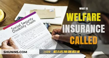 Welfare Insurance: Understanding Social Safety Nets