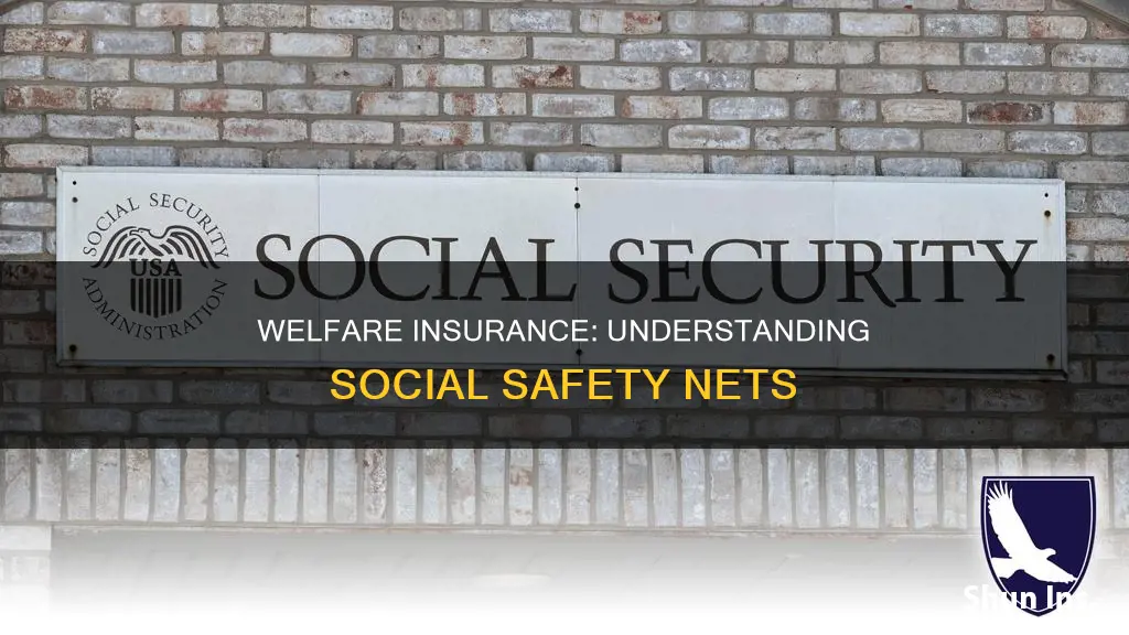 what is welfare insurance called
