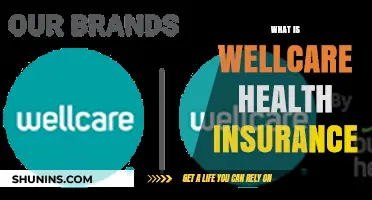 Understanding WellCare Health Insurance: Benefits, Coverage, and Enrollment Guide