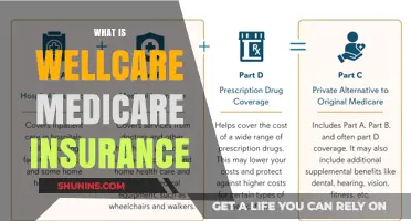 WellCare Medicare Insurance: What You Need to Know