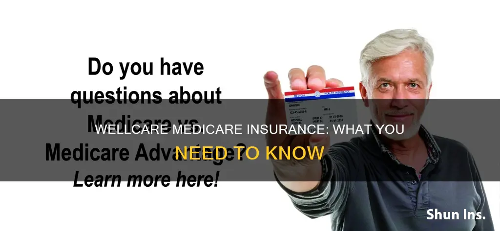 what is wellcare medicare insurance
