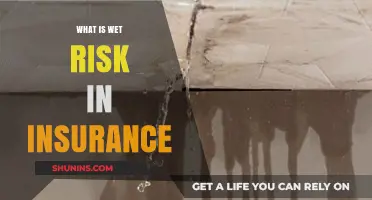 Understanding Wet Risk: Insurance and Water Damage