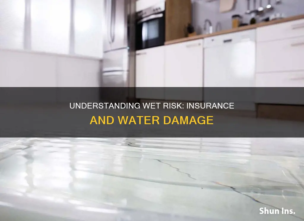 what is wet risk in insurance