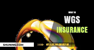 Understanding WGS Insurance: Coverage, Benefits, and Why It Matters