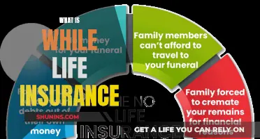 Understanding the Basics: What is Whole Life Insurance?