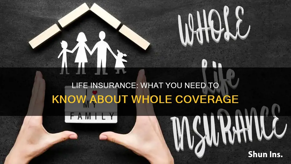 what is while life insurance