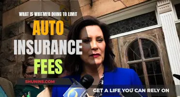 Whitmer's Plan to Limit Auto Insurance Fees