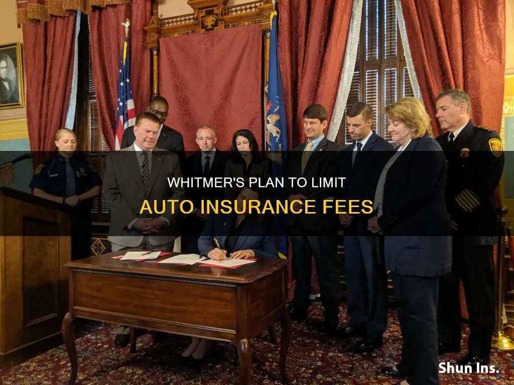 what is whitmer doing to limit auto insurance fees