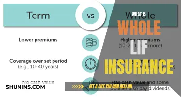 Understanding Whole Life Insurance: A Comprehensive Guide