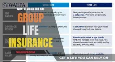 Understanding Whole Life and Group Life Insurance: A Comprehensive Guide