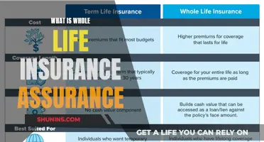 Understanding Whole Life Insurance: A Comprehensive Assurance Guide