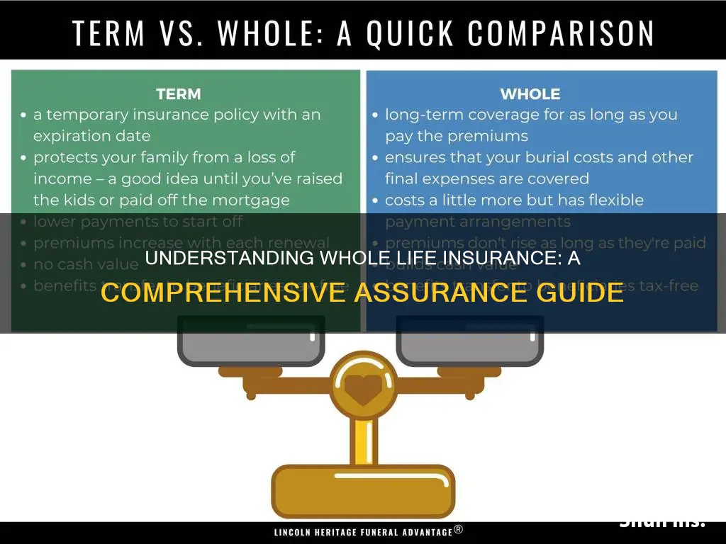 what is whole life insurance assurance