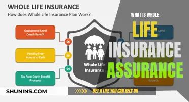 Whole Life Insurance: Understanding the Basics and Benefits