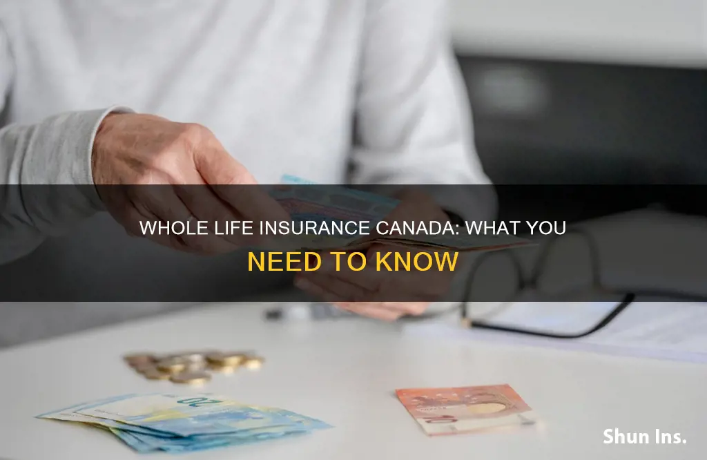 what is whole life insurance canada
