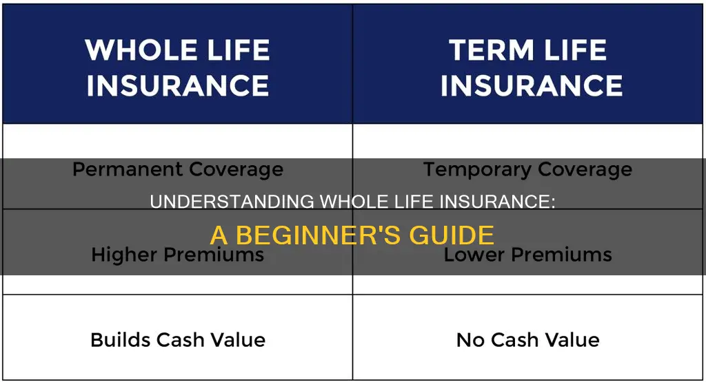 what is whole life insurance for dummies