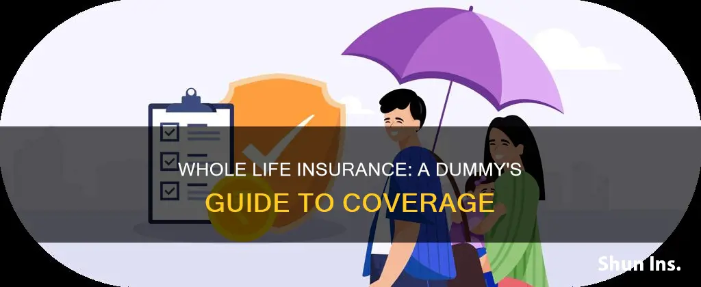 what is whole life insurance for dummies