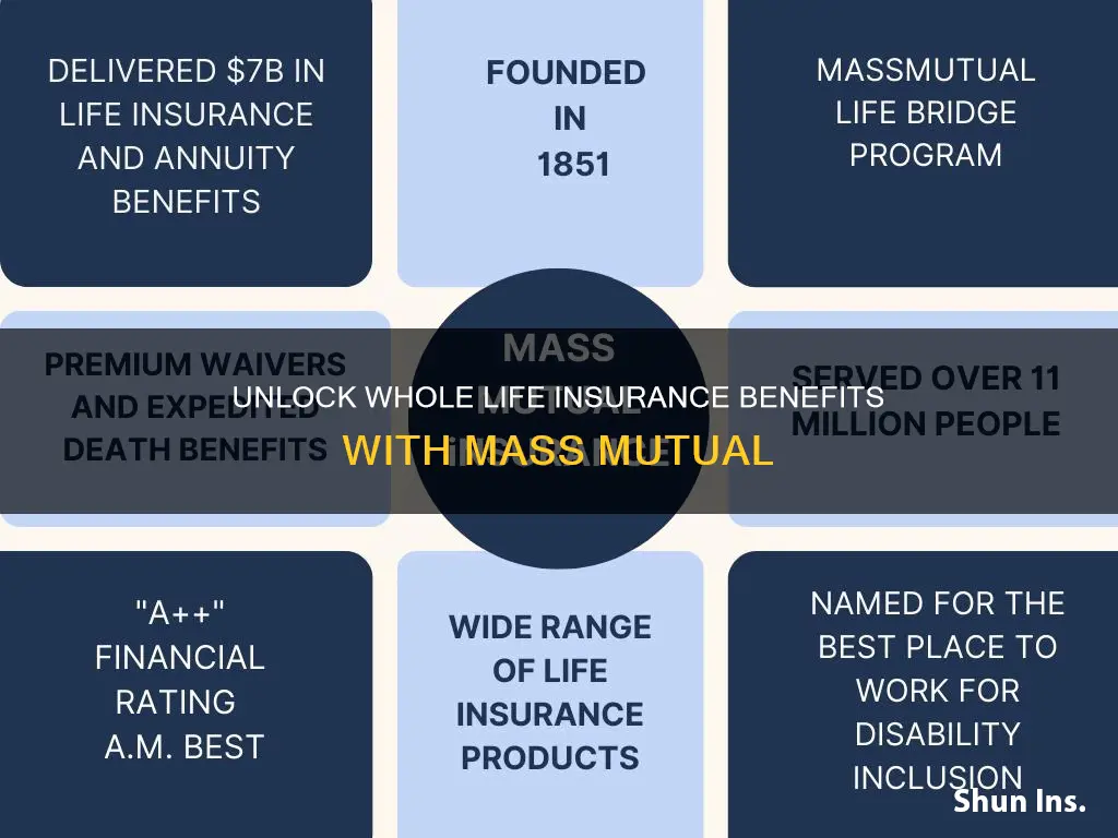 what is whole life insurance mass mutual