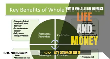 Whole Life Insurance: A Lifelong Financial Investment