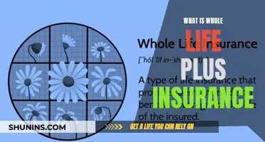 Understanding Whole Life Plus Insurance: A Comprehensive Guide