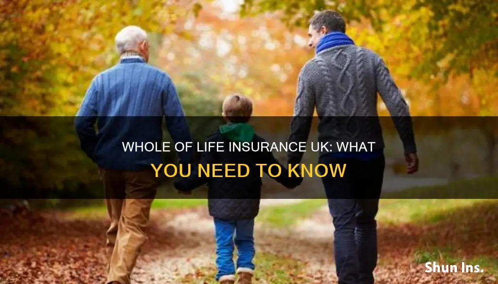 what is whole of life insurance uk