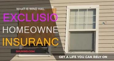 Homeowners Insurance: Hail, Wind and Exclusions Explained