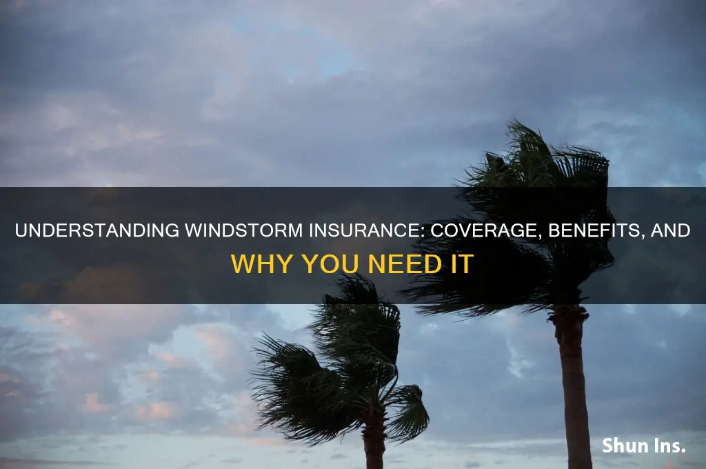 what is windstorm insurance