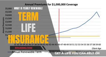 Unlock the Benefits: Understanding Yearly Renewable Term Life Insurance