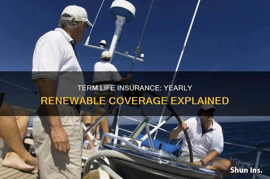 what is yearly renewable term life insurance