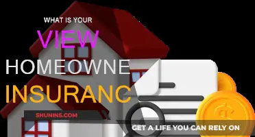 Homeowners Insurance: A Necessary Investment or Waste?