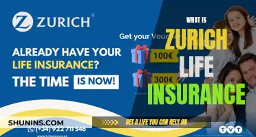 Understanding Zurich Life Insurance: A Comprehensive Guide