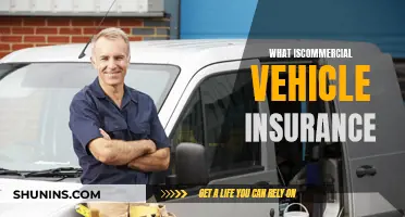 Commercial Vehicle Insurance: What You Need to Know