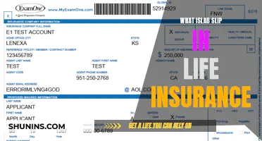 Understanding Lab Slip in Life Insurance: A Comprehensive Guide