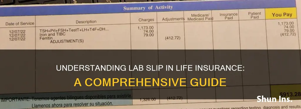 what islab slip in life insurance