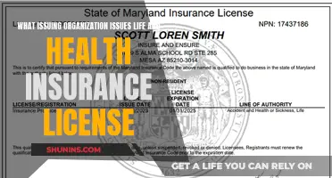 Understanding the Authority: Who Issues Life and Health Insurance Licenses?