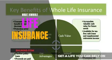 Understanding Whole Life Insurance: A Comprehensive Guide