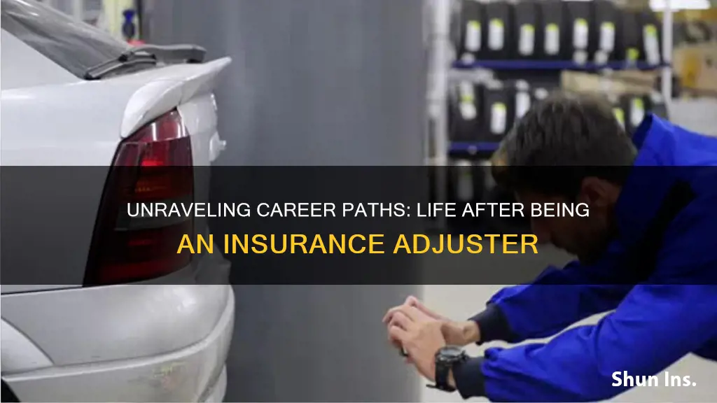 what jobs after insurance adjuster