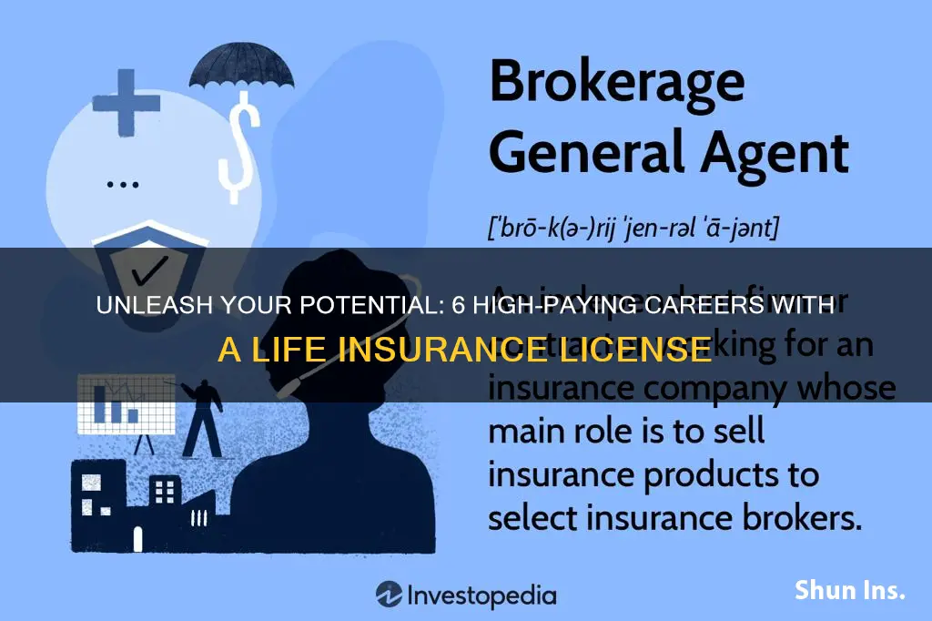 what jobs can I do with a life insurance license