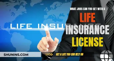 Lucrative Career Options With a Life Insurance License