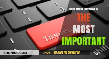 The Most Vital Insurance Coverage for Peace of Mind