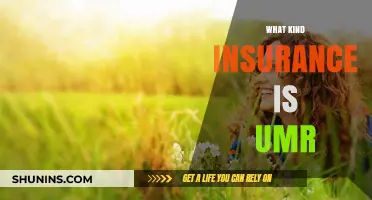 UMR Insurance: What Type of Coverage Does It Provide?