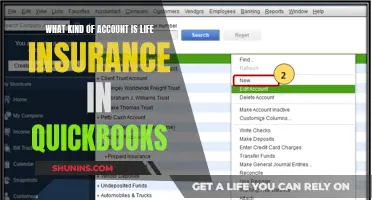 Understanding Life Insurance Accounts in QuickBooks